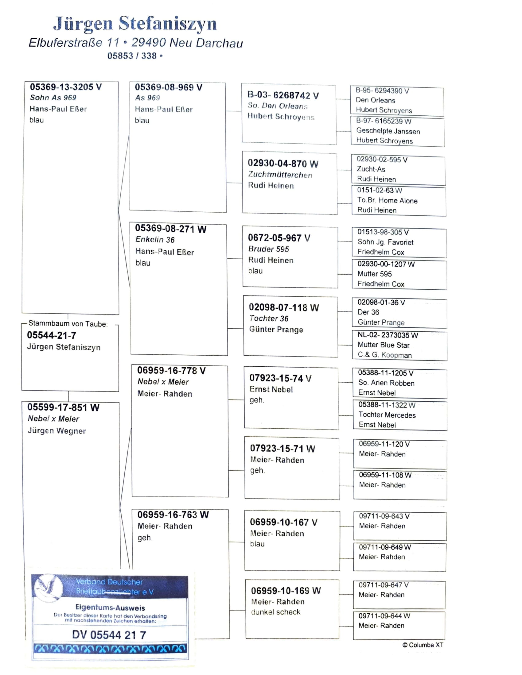 Pedigree